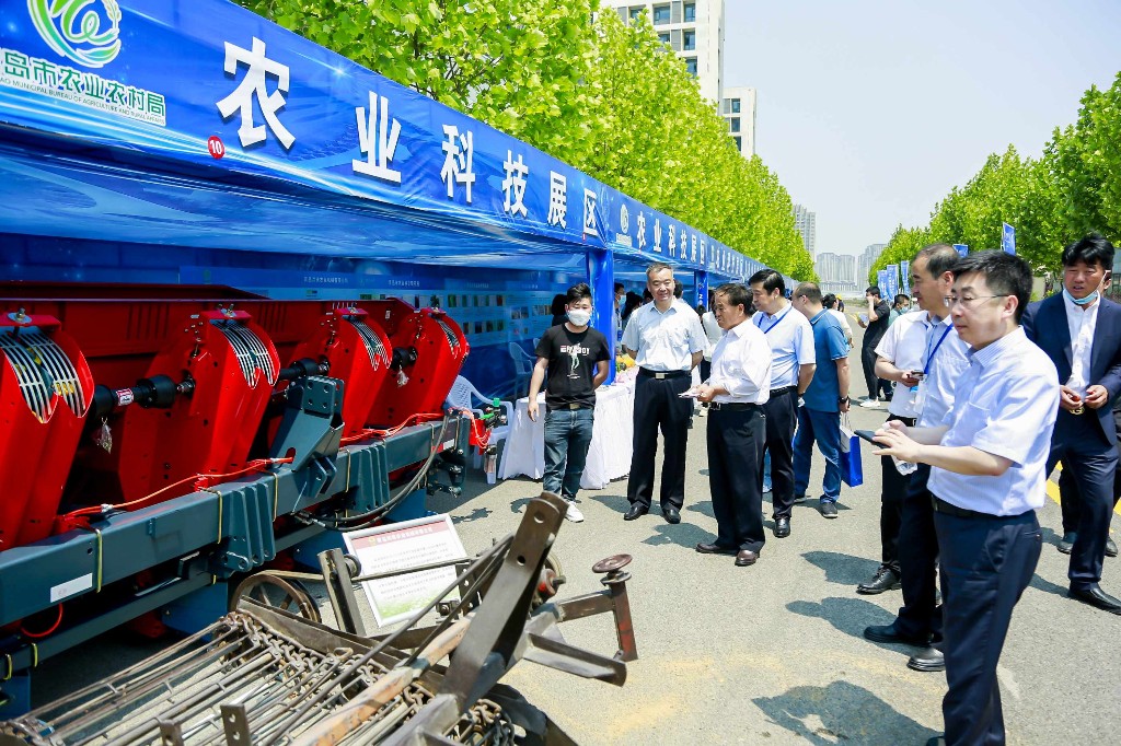 蜂博士,熊蜂,蜂博士熊蜂,蜂博士授粉熊蜂,蜂博士生物防治,授粉熊蜂,番茄熊蜂授粉,草莓熊蜂授粉,蓝莓熊蜂授粉,熊蜂厂家