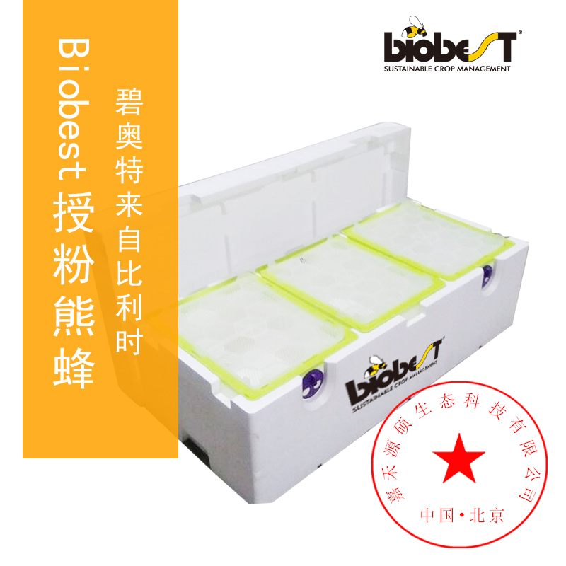 Biobest（碧奥特）授粉熊蜂-三联箱