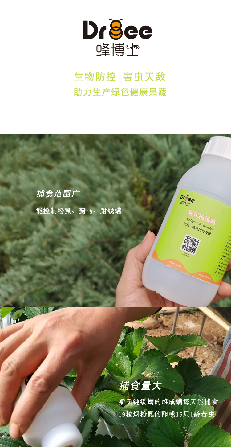 斯氏钝绥螨详情页_07.png
